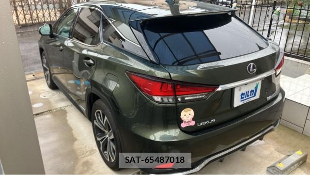 Lexus RX 2019-08 8753609-12