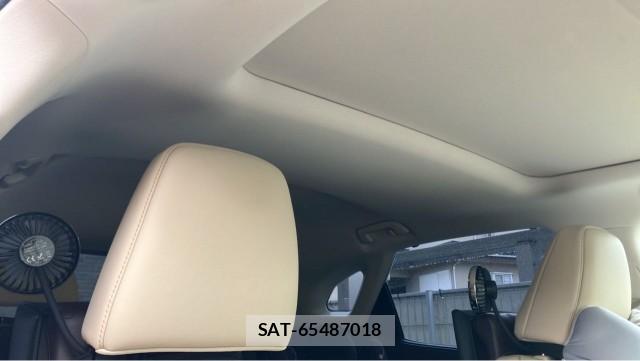 Lexus RX 2019-08 8753609-15