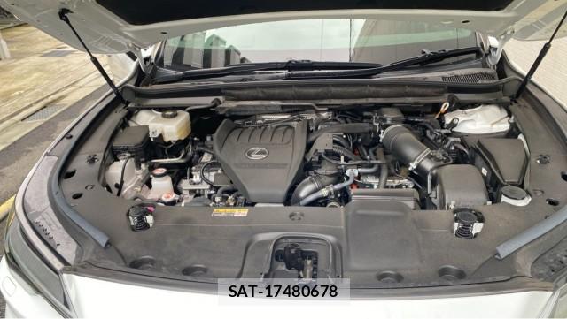 Lexus RX 2024-03 8753664-7