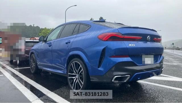 Bmw X6 2020-06 8753641-13