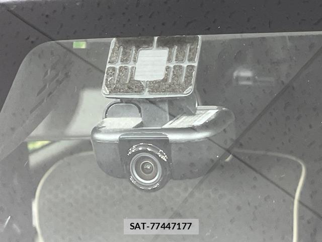 Suzuki X BEE 2019-08 8752297-7