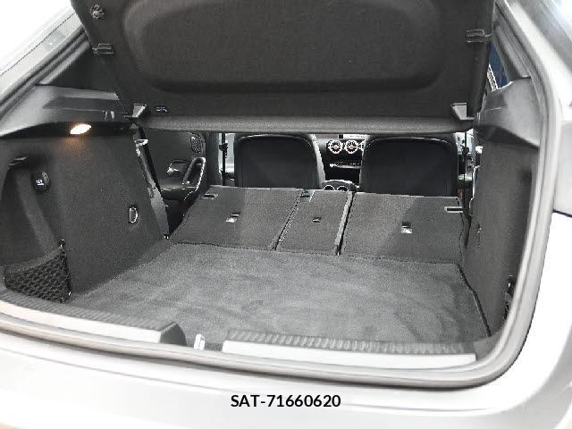 Mercedes Benz A-CLASS 2019-01 8768745-6