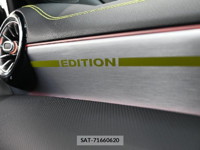 Mercedes Benz A-CLASS 2019-01 8768745-8