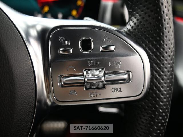 Mercedes Benz A-CLASS 2019-01 8768745-9