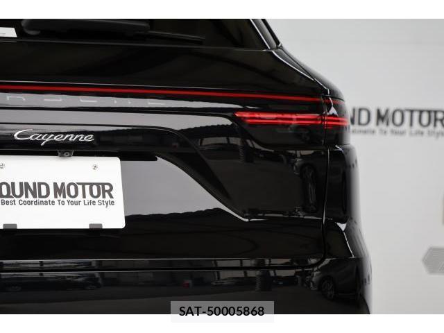 Porsche CAYENNE 2019-02 8769232-14