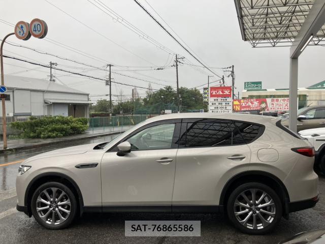 Mazda CX-60 2023-02 8769422-19