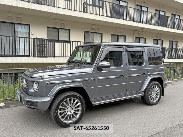 Mercedes Benz G-CLASS 2021-12 8769792-11