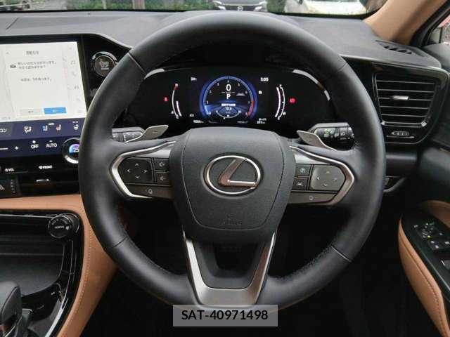 Lexus NX 2025-01 8768754-10