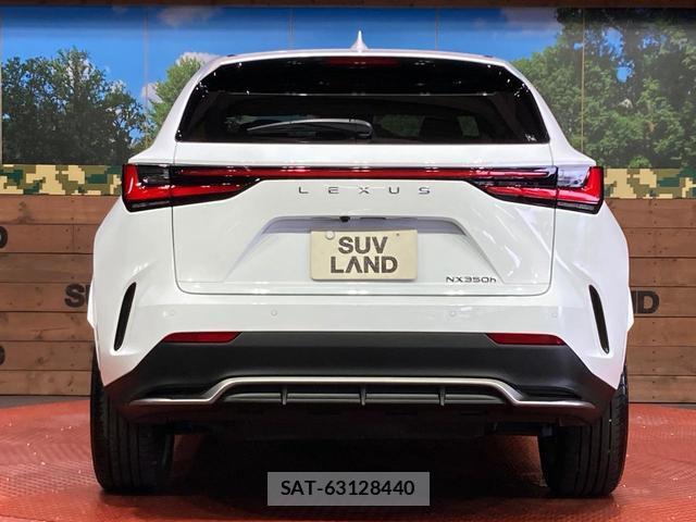 Lexus NX 2022-01 8769799-14