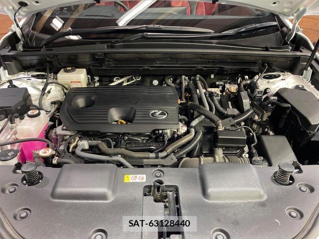 Lexus NX 2022-01 8769799-17
