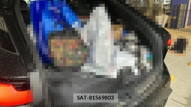Lexus RX 2026-02 8769611-17