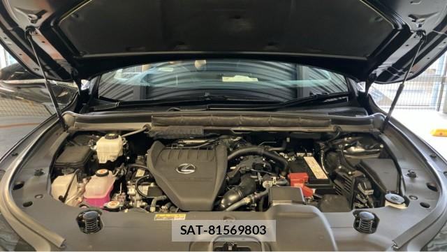 Lexus RX 2026-02 8769611-7