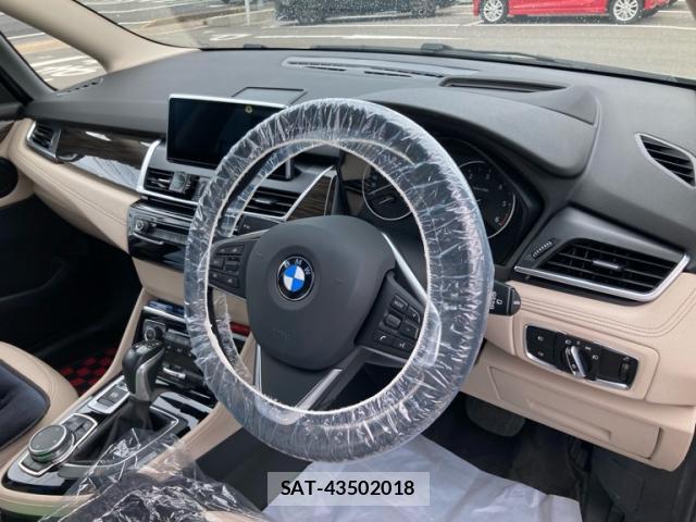 Bmw 2 SERIES 2015-08 8813884-10