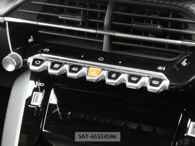 Peugeot 2008 2024-02 8813923-18
