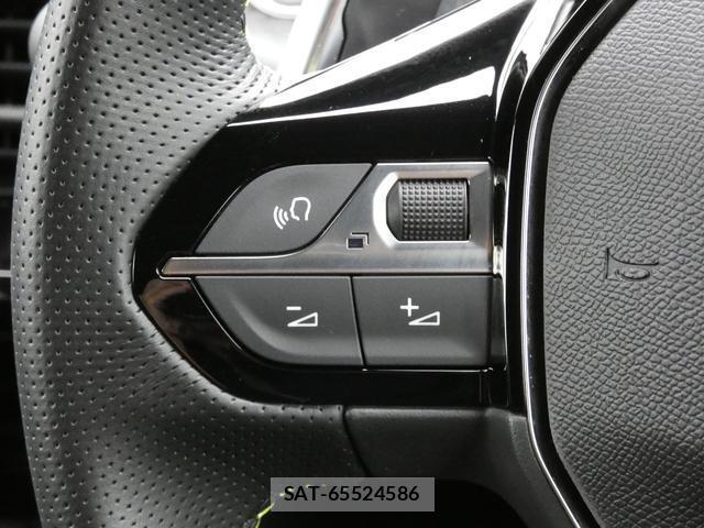 Peugeot 2008 2024-02 8813923-7