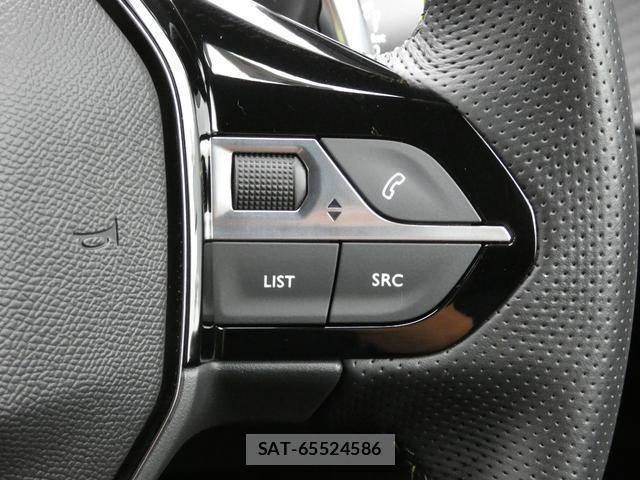 Peugeot 2008 2024-02 8813923-8