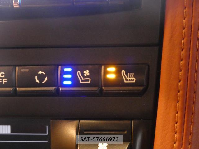Porsche 911 2009-01 8817864-13