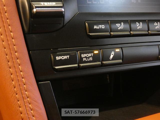 Porsche 911 2009-01 8817864-14