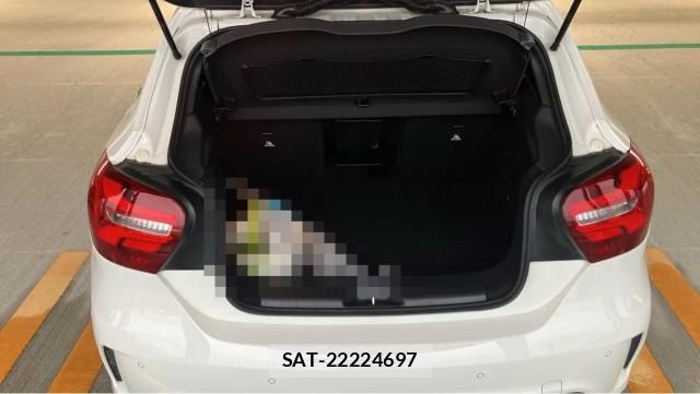 Mercedes Benz A-CLASS 2017-05 8815480-17