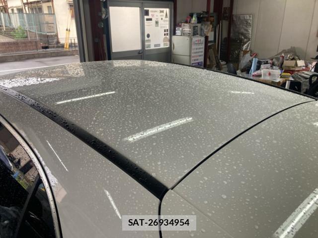 Mercedes Benz A-CLASS 2019-09 8816385-7