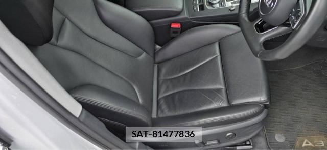 Audi E-TRON 2019-01 8813244-15