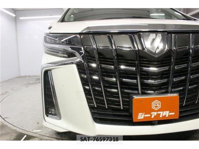 Toyota ALPHARD 2018-10 8814318-10