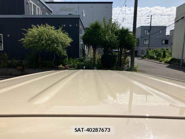 Suzuki LAPIN 2009-05 8813602-12
