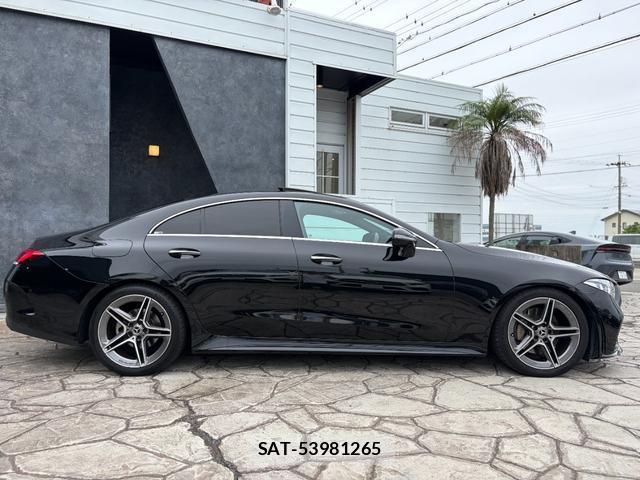 Mercedes Benz CLS-CLASS 2018-09 8812340-19