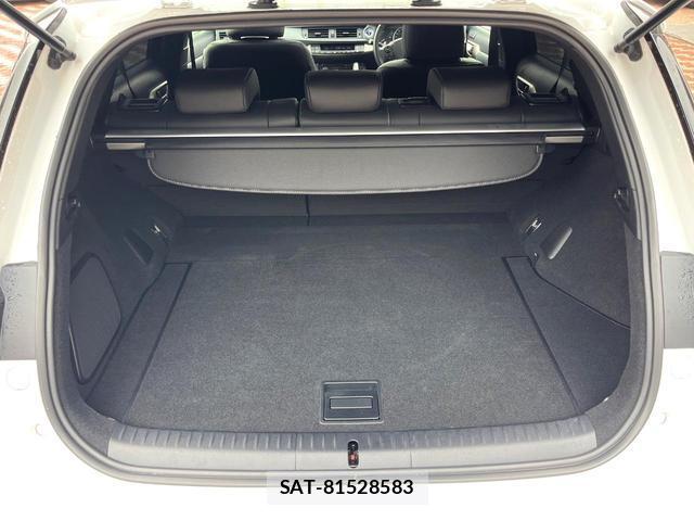Lexus CT 2020-03 8813212-9
