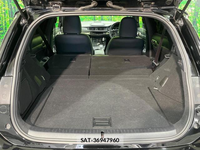 Lexus CT 2014-09 8814278-13