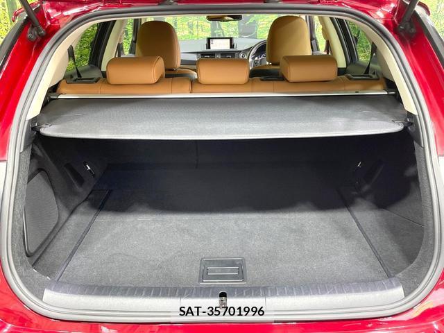 Lexus CT 2015-10 8817227-9