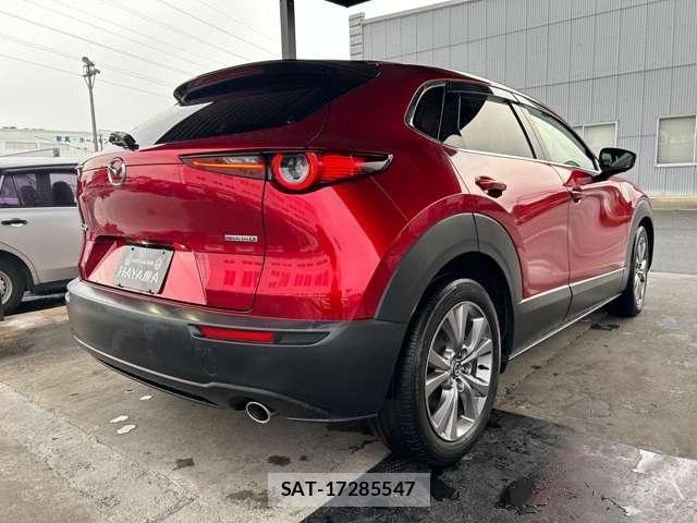 Mazda CX-30 2021-06 8813093-1