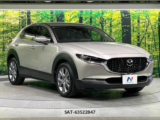 Mazda CX-30 2024-07 8814729-15