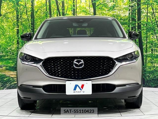 Mazda CX-30 2022-04 8815946-14