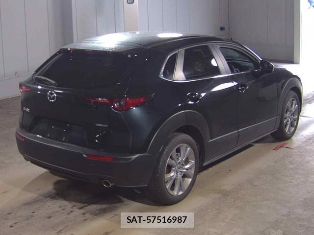Mazda CX-30 2024-01 8817168-5