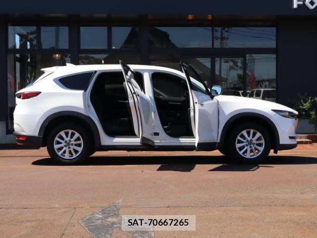 Mazda CX-8 2018-10 8812115-14