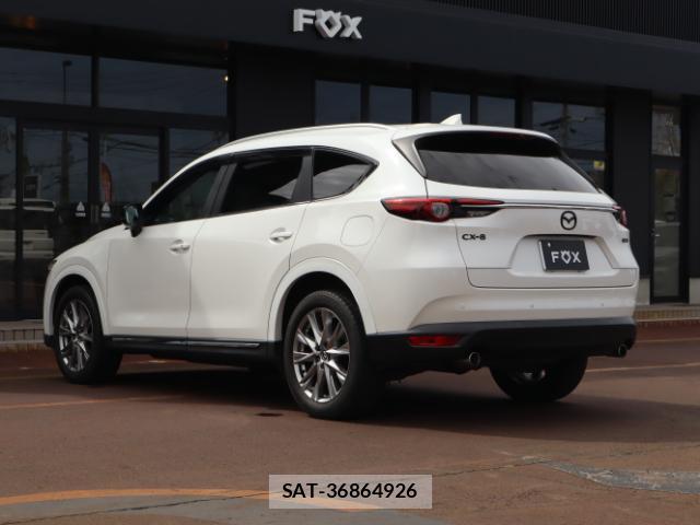 Mazda CX-8 2018-03 8812116-10