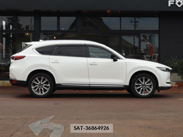 Mazda CX-8 2018-03 8812116-12