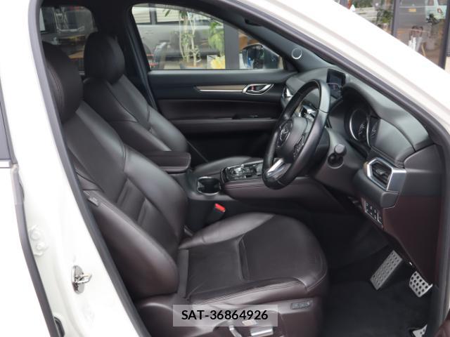 Mazda CX-8 2018-03 8812116-17