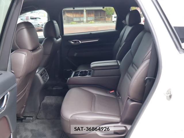 Mazda CX-8 2018-03 8812116-19
