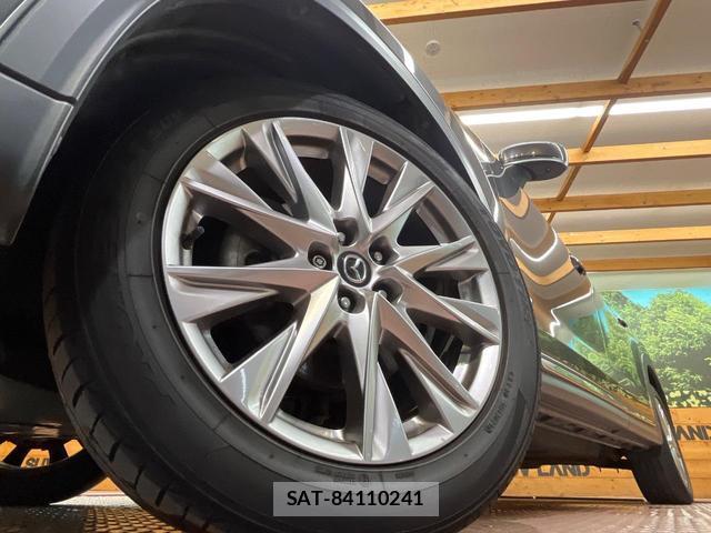 Mazda CX-8 2018-03 8817363-13