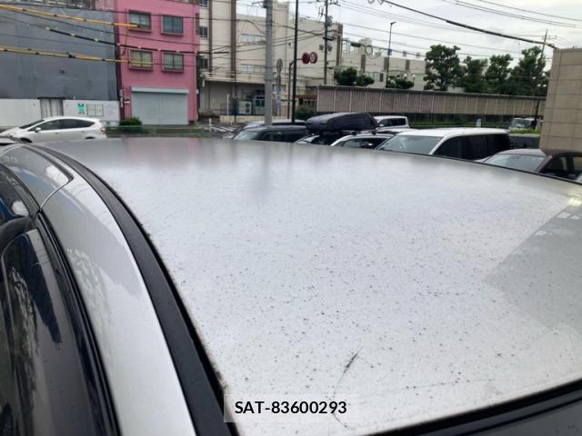 Toyota ESTIMA 2005-10 8813012-10