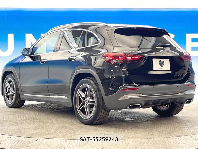 Mercedes Benz GLA-CLASS 2021-11 8813145-19