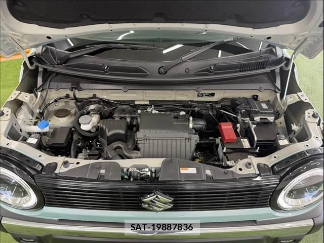 Suzuki HUSTLER 2024-06 8814131-13