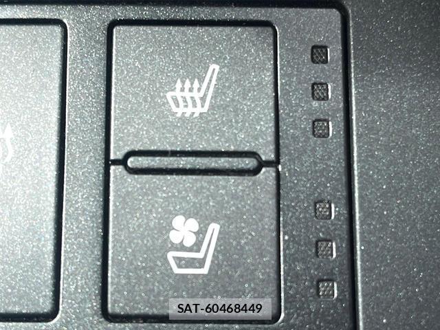 Lexus IS 2023-10 8813209-2