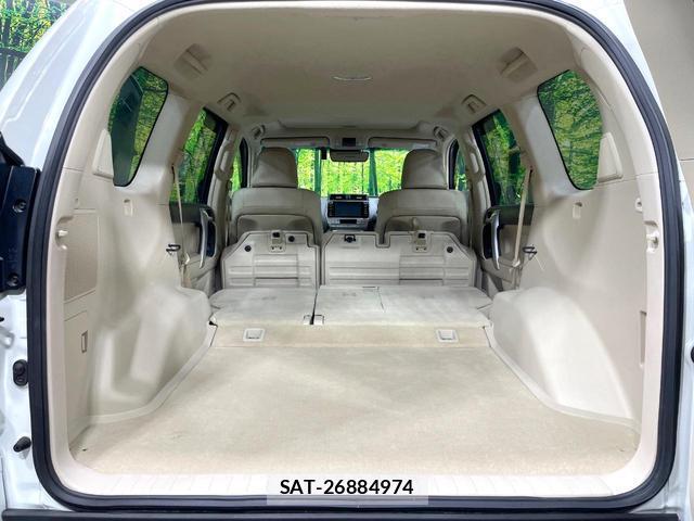 Toyota LAND CRUISER PRADO 2019-03 8813186-11