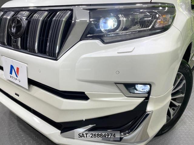 Toyota LAND CRUISER PRADO 2019-03 8813186-13