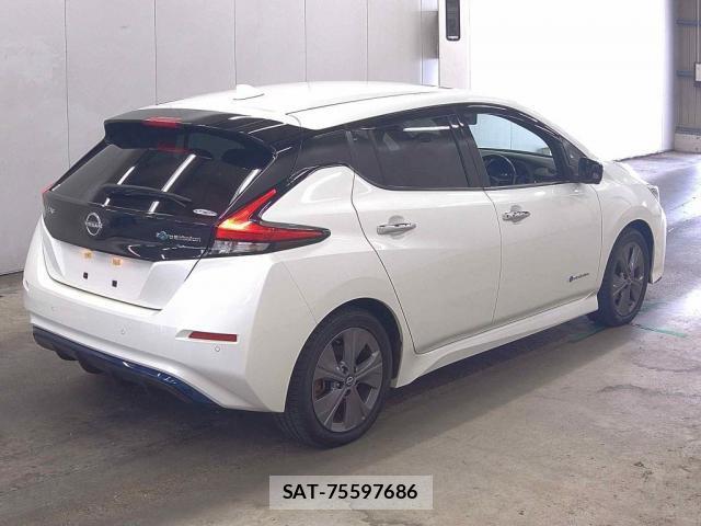 Nissan LEAF 2021-06 8813061-1