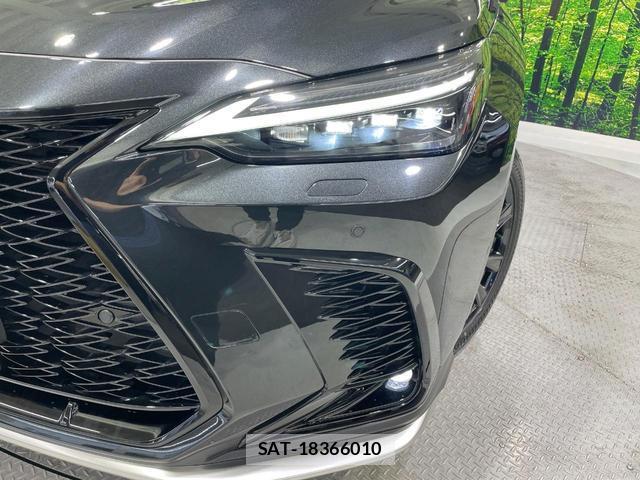Lexus NX 2024-09 8812254-12