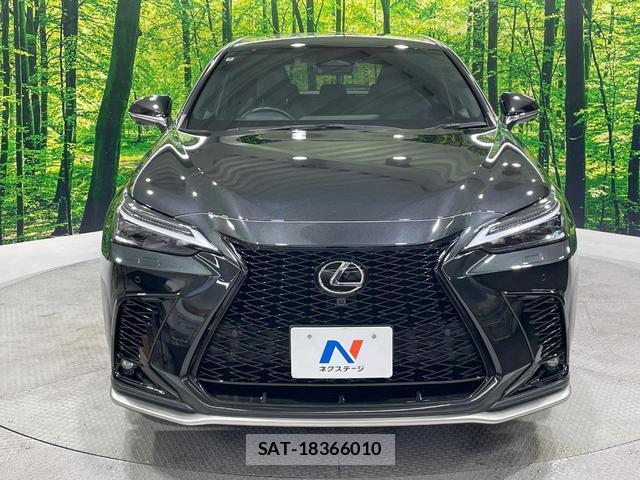 Lexus NX 2024-09 8812254-14